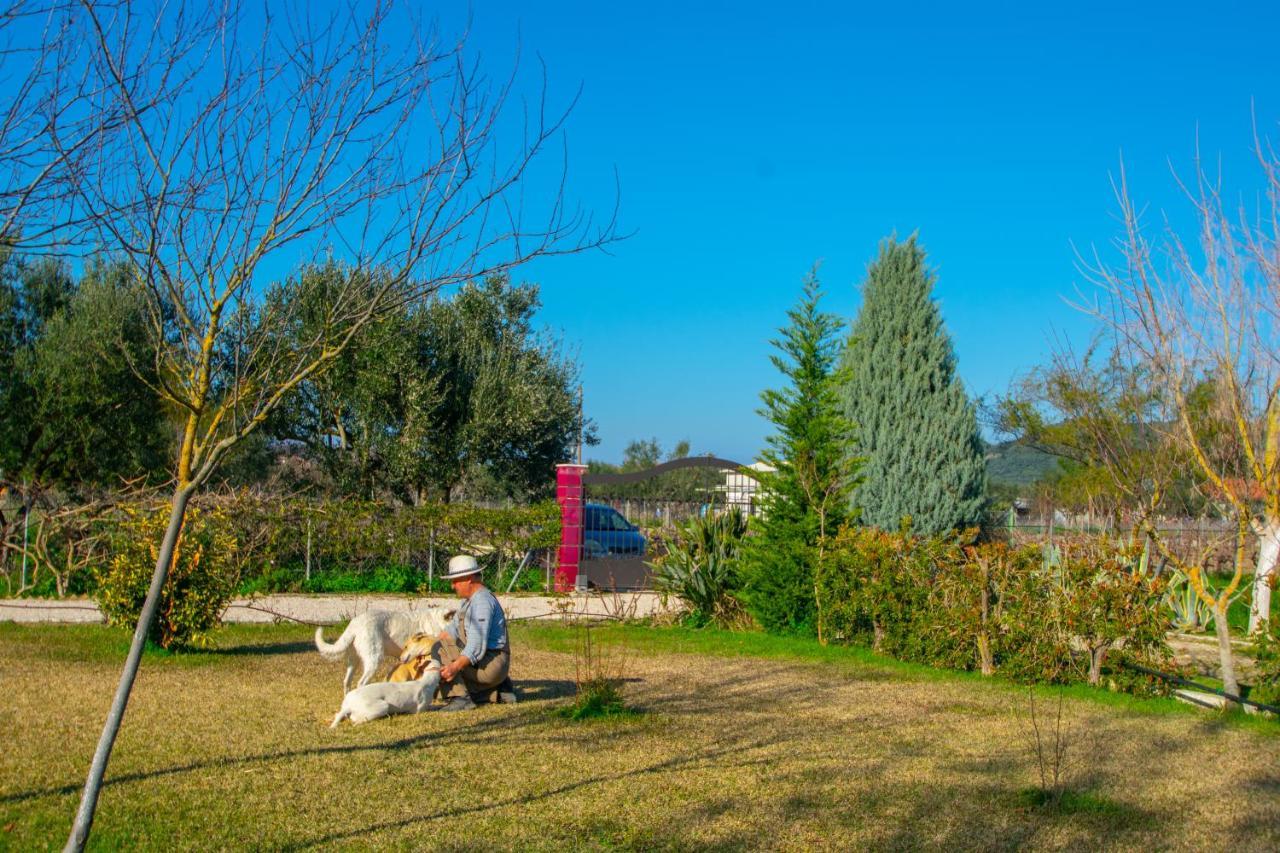 Loukas Farm House Áyios Kírikos Buitenkant foto