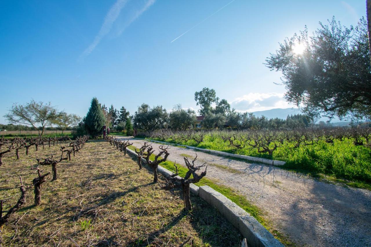 Loukas Farm House Áyios Kírikos Buitenkant foto