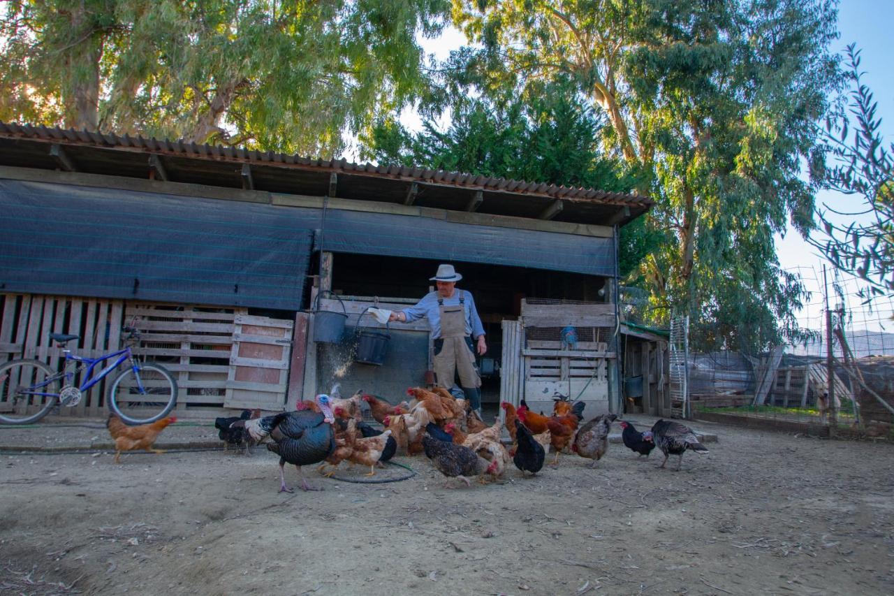 Loukas Farm House Áyios Kírikos Buitenkant foto