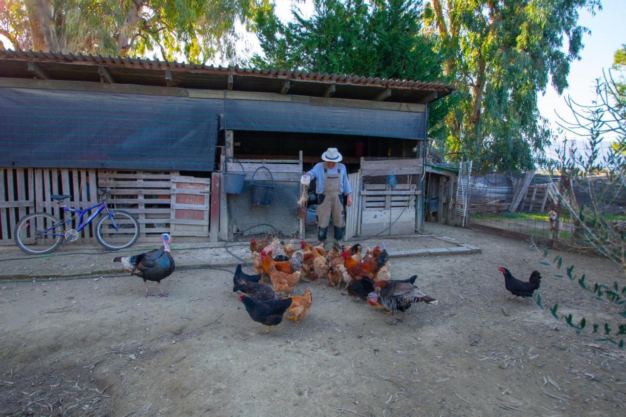 Loukas Farm House Áyios Kírikos Buitenkant foto