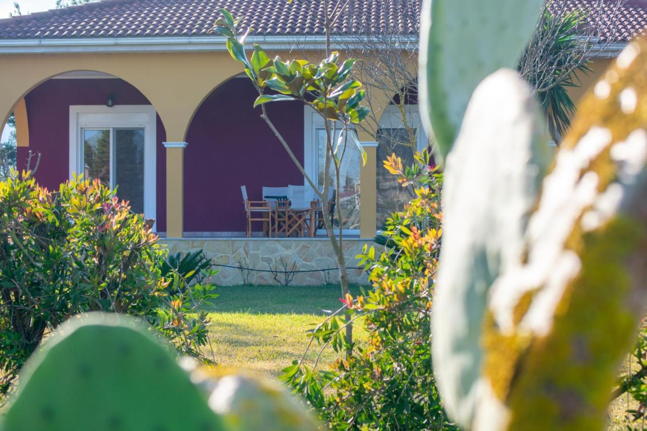 Loukas Farm House Áyios Kírikos Buitenkant foto